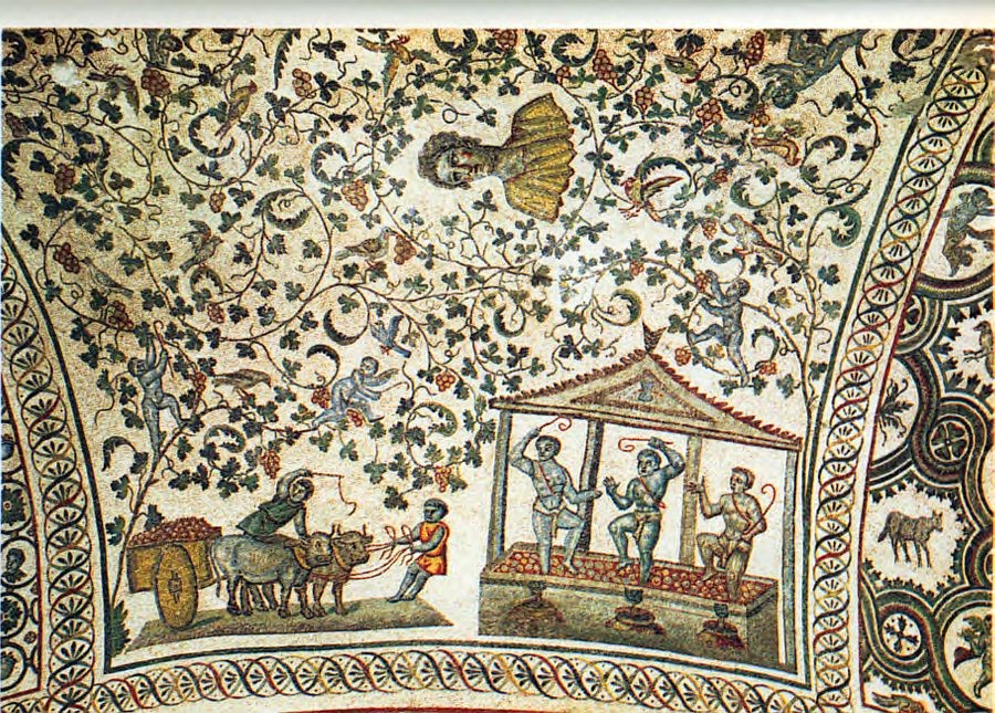 Costanza mozaik